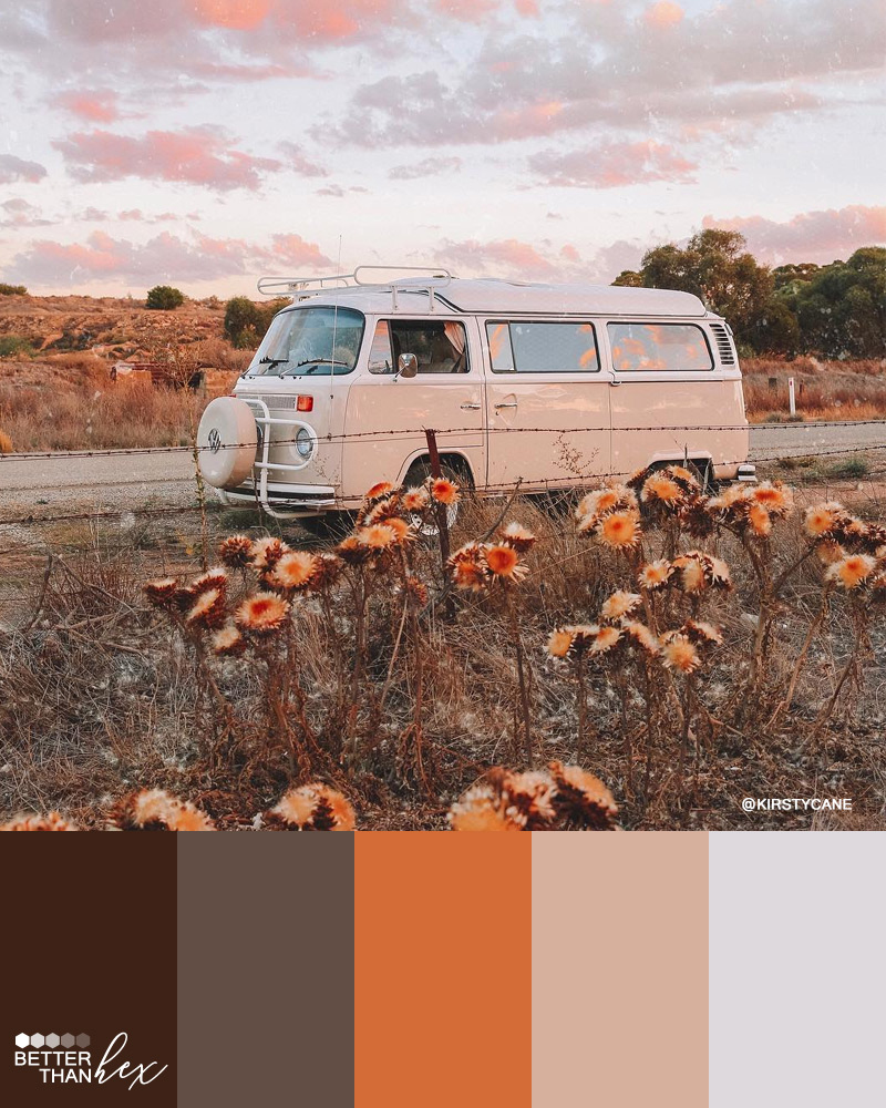 Desert Vibes Color Palette