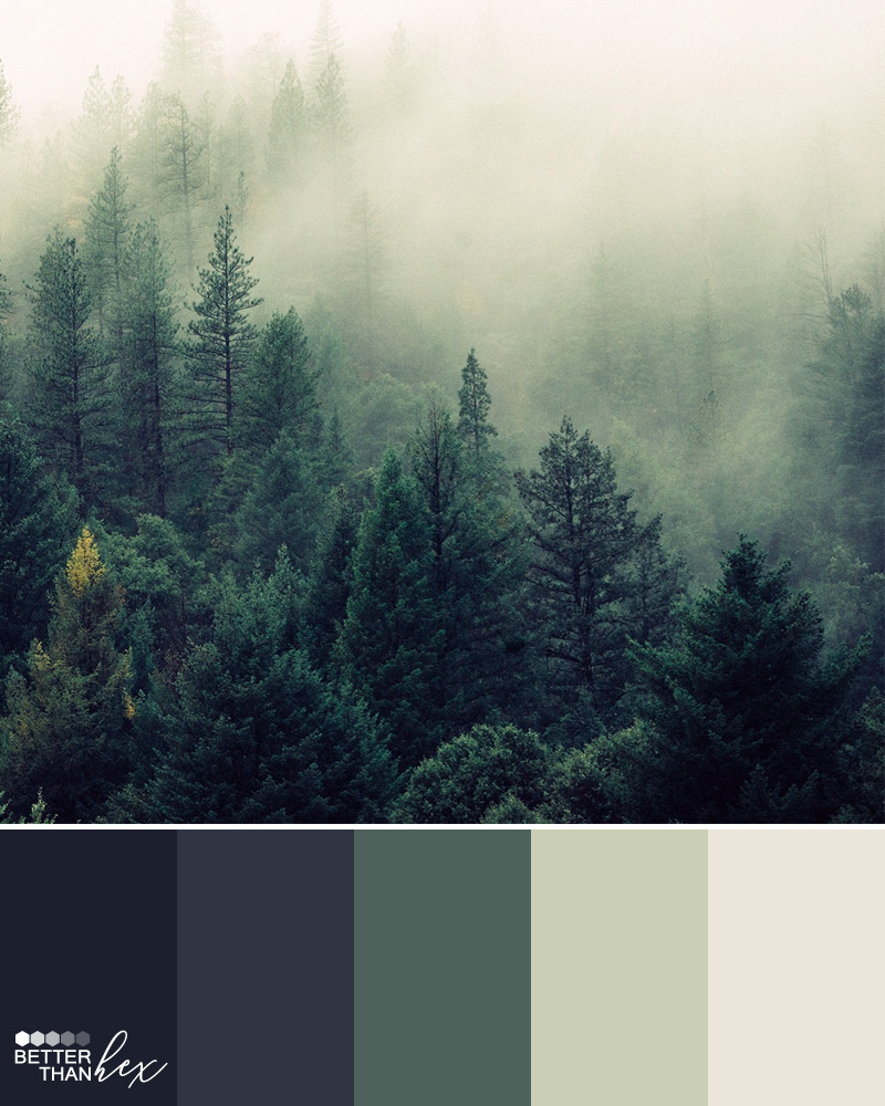 Foggy Forest Color Palette