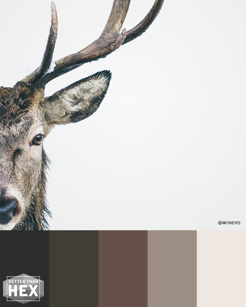 Monochrome Brown Color Scheme
