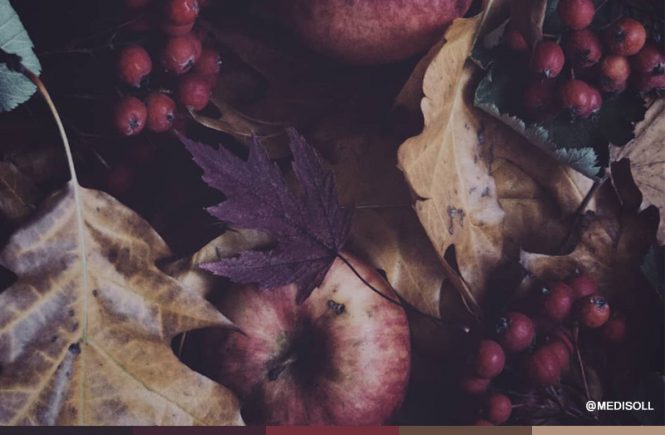 Autumn Color Palette