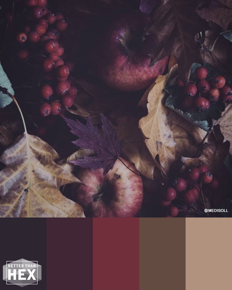 Autumn Color Palette