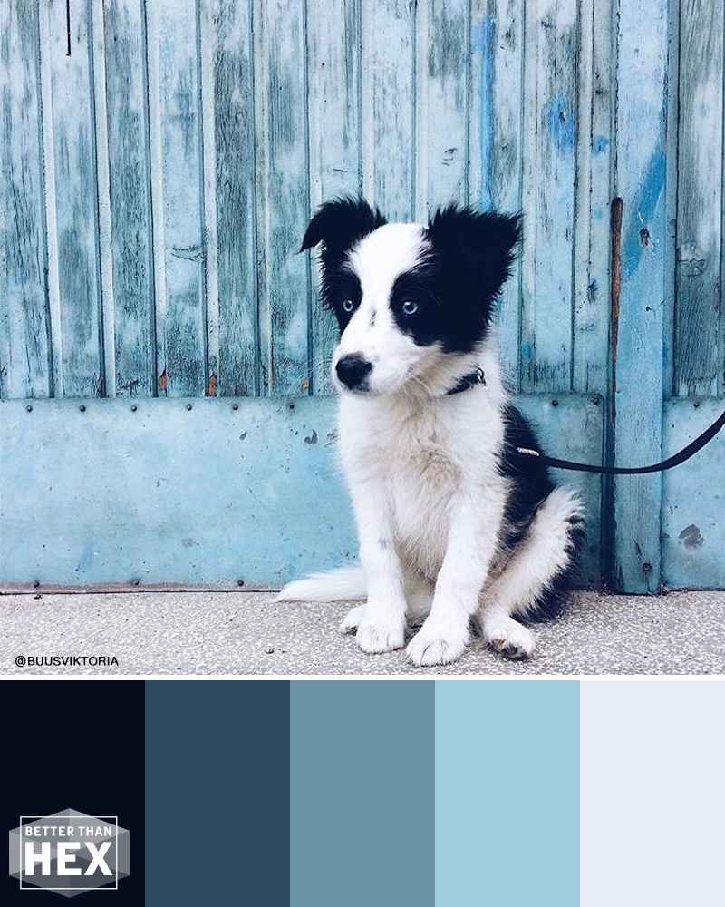 Blue Color Palette Inspiration