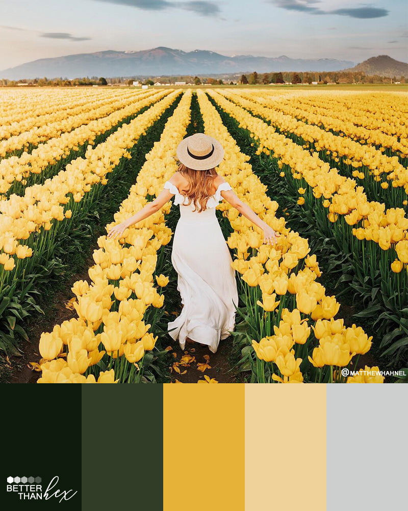 Flower Fields Color Palette